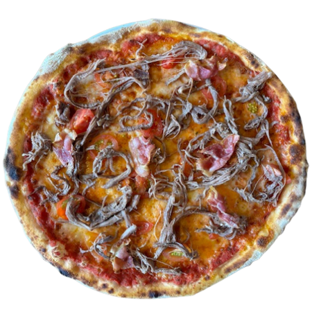 Pizza Campera